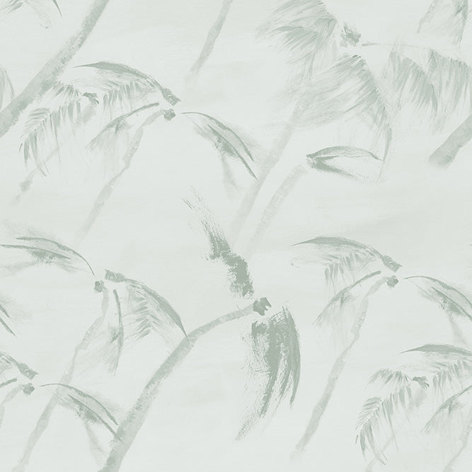 Palmetto - Wallpaper