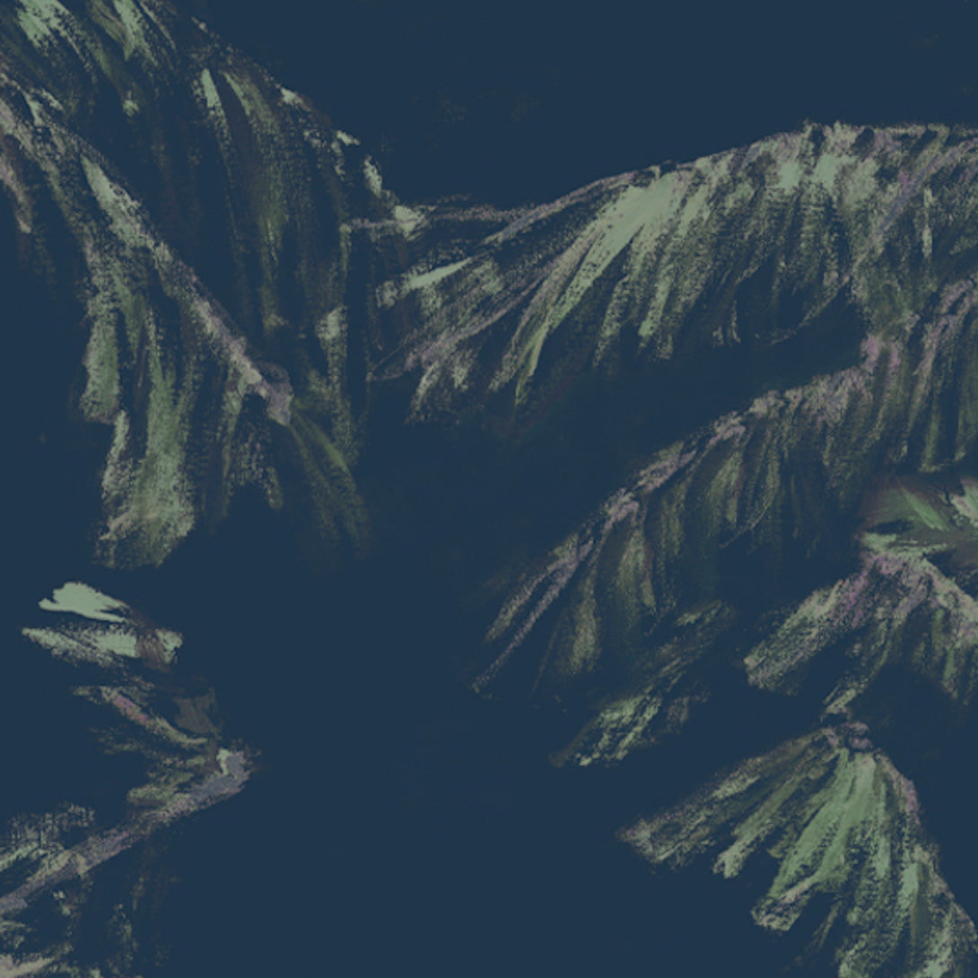 The Palms - Wallpaper